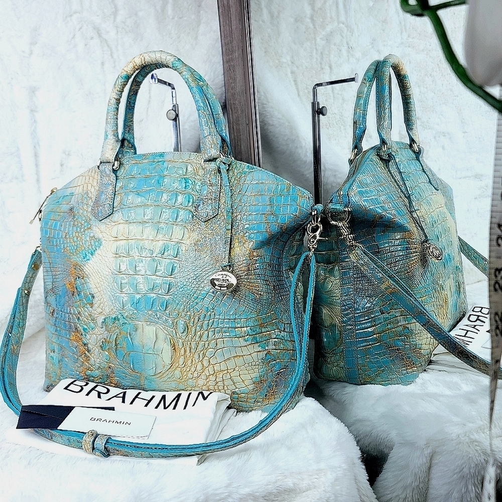 Brahmin - Picture 2 of 12